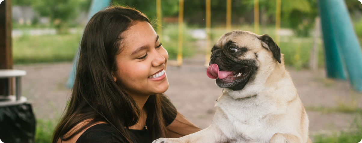 Woman smiling at a happy pug dog. Woman smiling at a happy pug dog.