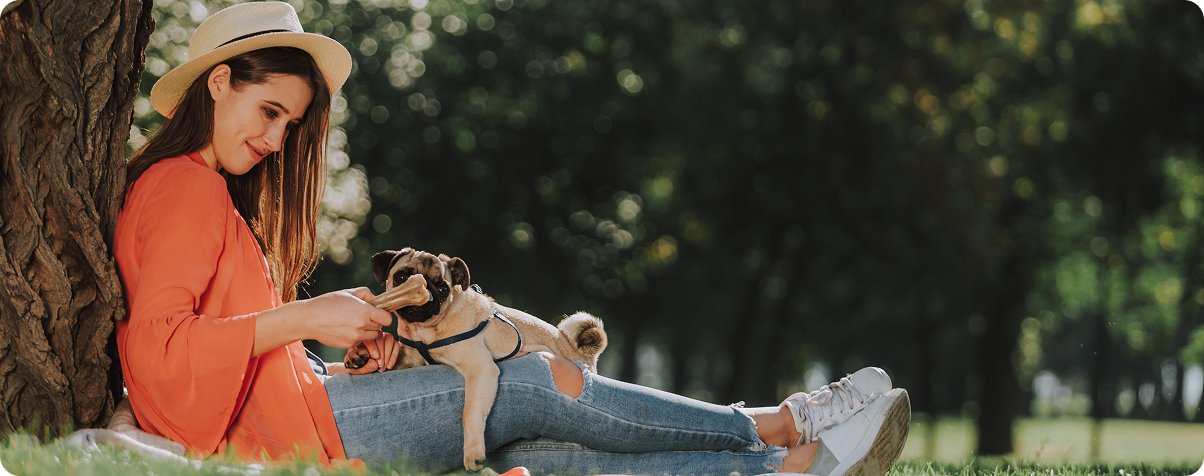 Woman sitting with pug in park. Woman sitting with pug in park.